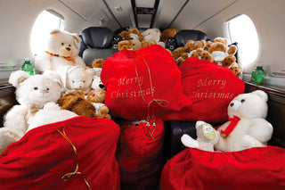 Stuff The Plane Teddy Bear Donation